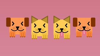 pet feline domestic animals