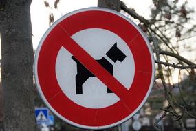 Brand Ban Input