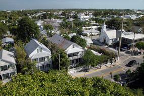 house trees city