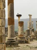 big pillars on the temple