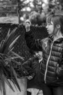Bird Cage Garden Black And