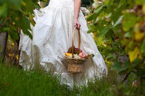 basket girl in a dress