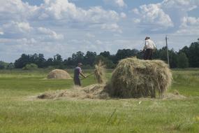 farmers in haymaking in Ukraine