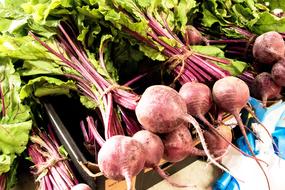 ripe vegetable harvest
