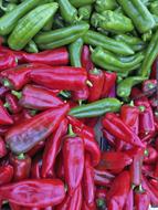 Juicy ripe peppers harvest