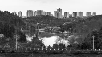 city view trees