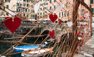 rope view bridge heart