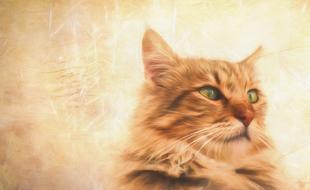 painting artwork art draw