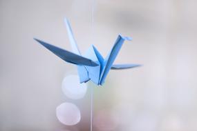 Crane Origami Fold