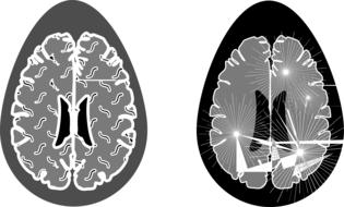 graphic brain grey drawing