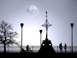 silhouette evening moon