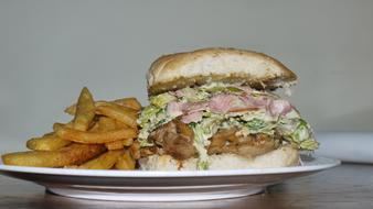 delicious burger with fries