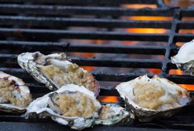 grilled clams