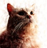 cat fur pet portrait