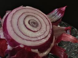 sliced purple onion