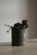 a dead bird in a black can