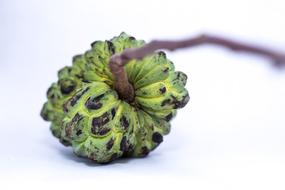 leafy green fruit