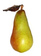 Pear Fruit Food