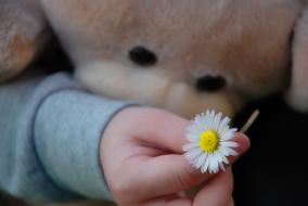 People Hand Flower