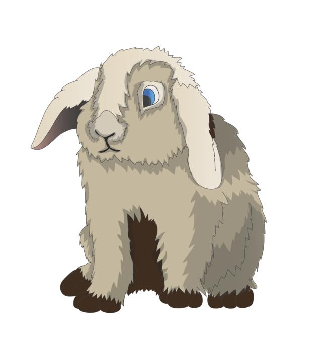 rabbit hare munchkins pet