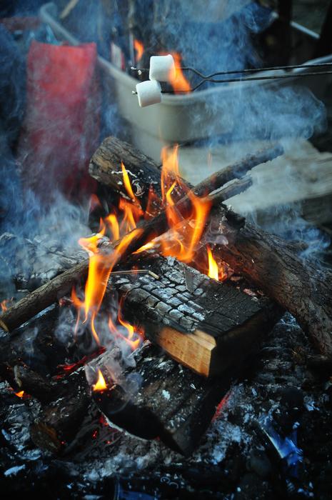 roasted marshmallows on fire