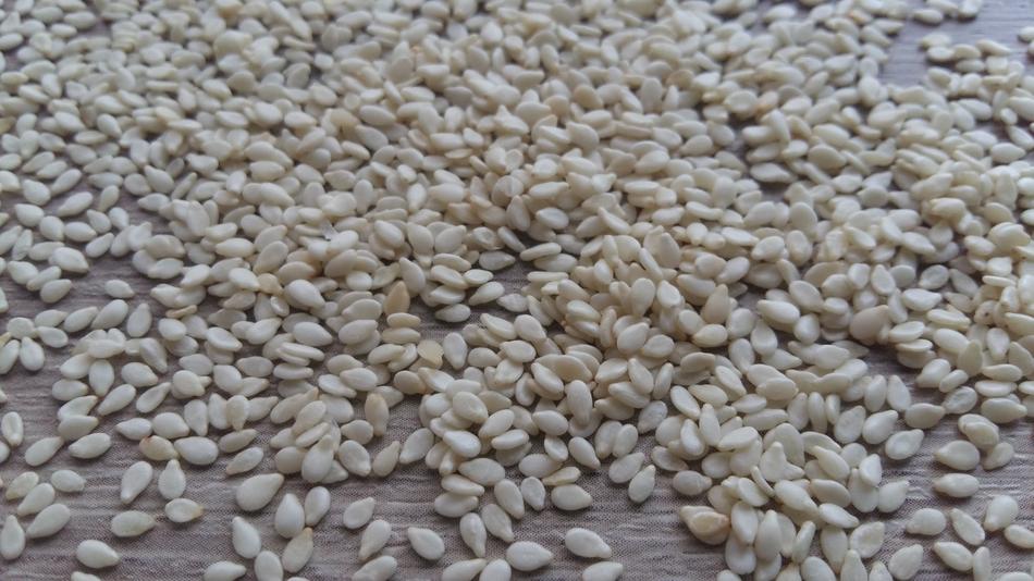 white sesame scattered on the table