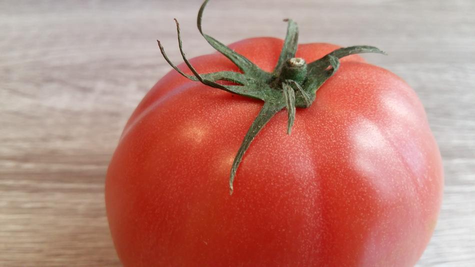 Closeup of a ripe tomato