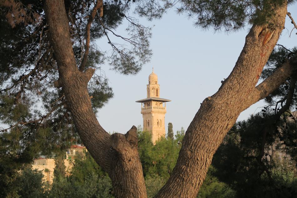 Tree On Religion