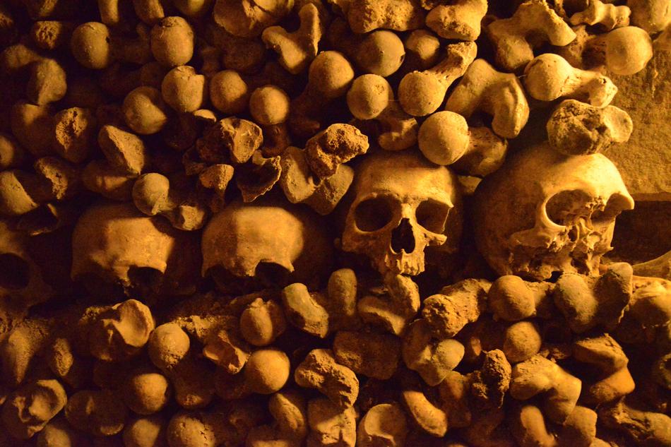 Paris Catacombs Skulls