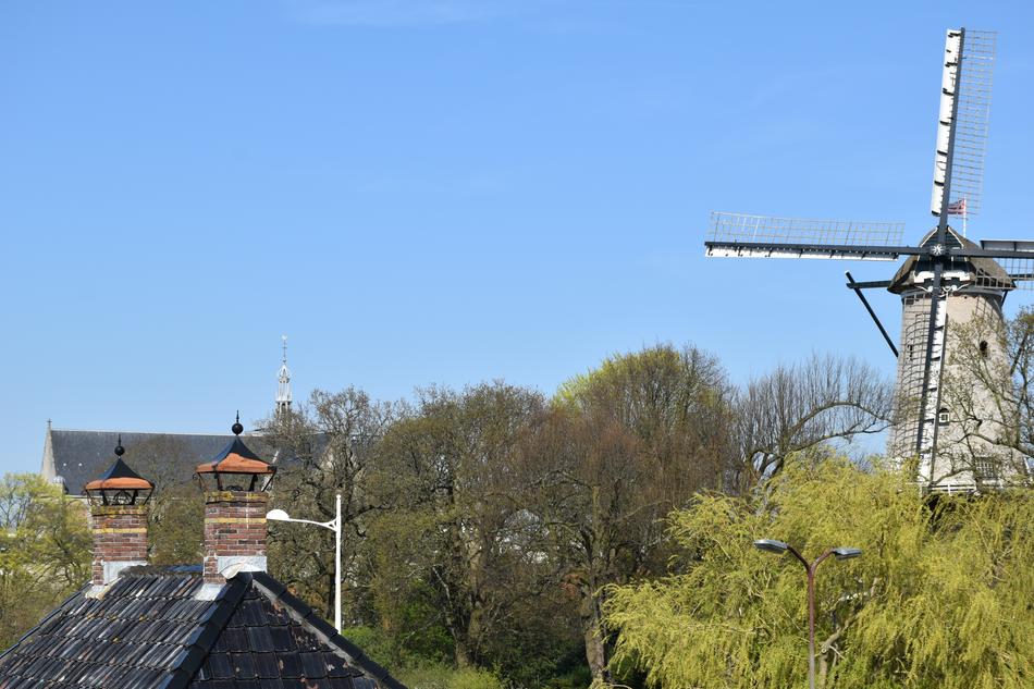 Wind Mill Church