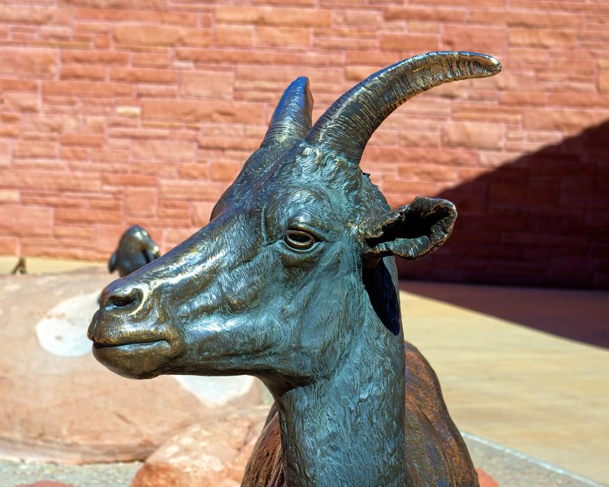 Bronze Desert Bighorn Ewe