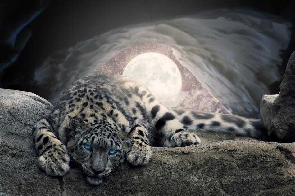 Moon Snow Cave