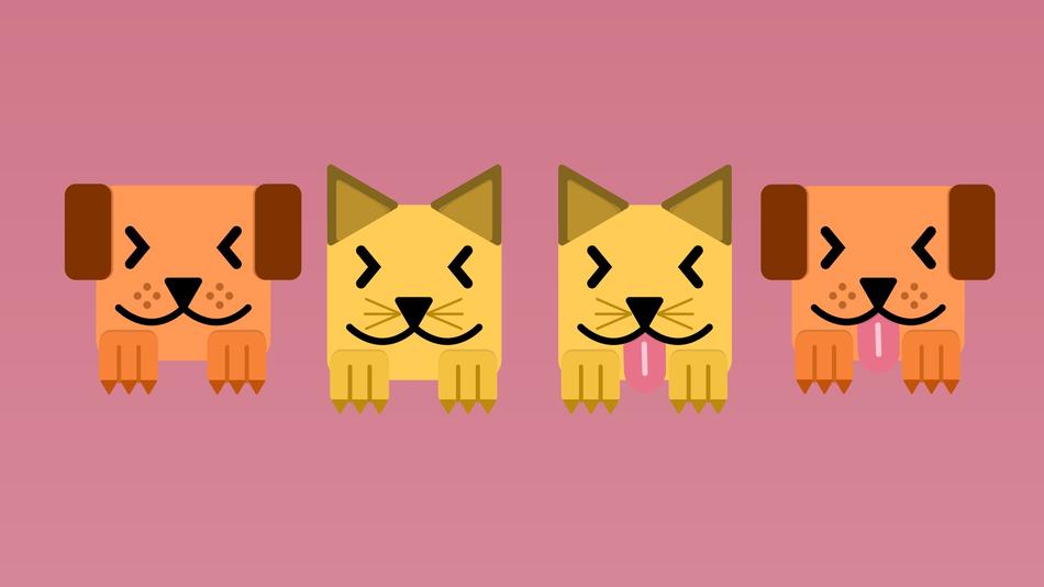 pet feline domestic animals