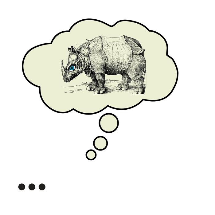 Rhino Bubble Albrecht Duerer