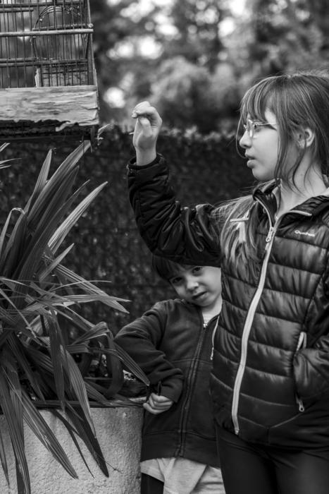 Bird Cage Garden Black And