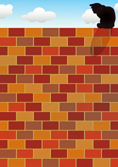 cat on brick wall cat sky summer