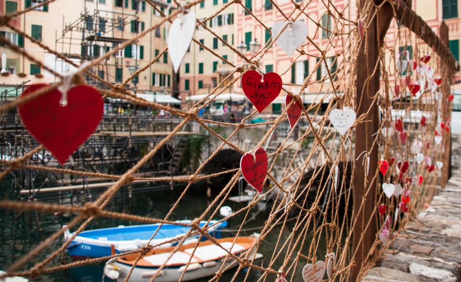 rope view bridge heart