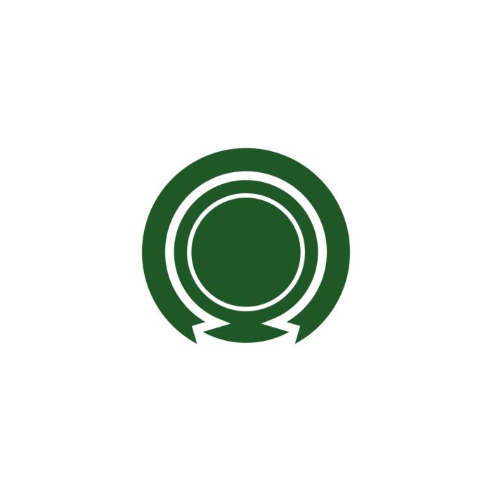chapecoense football