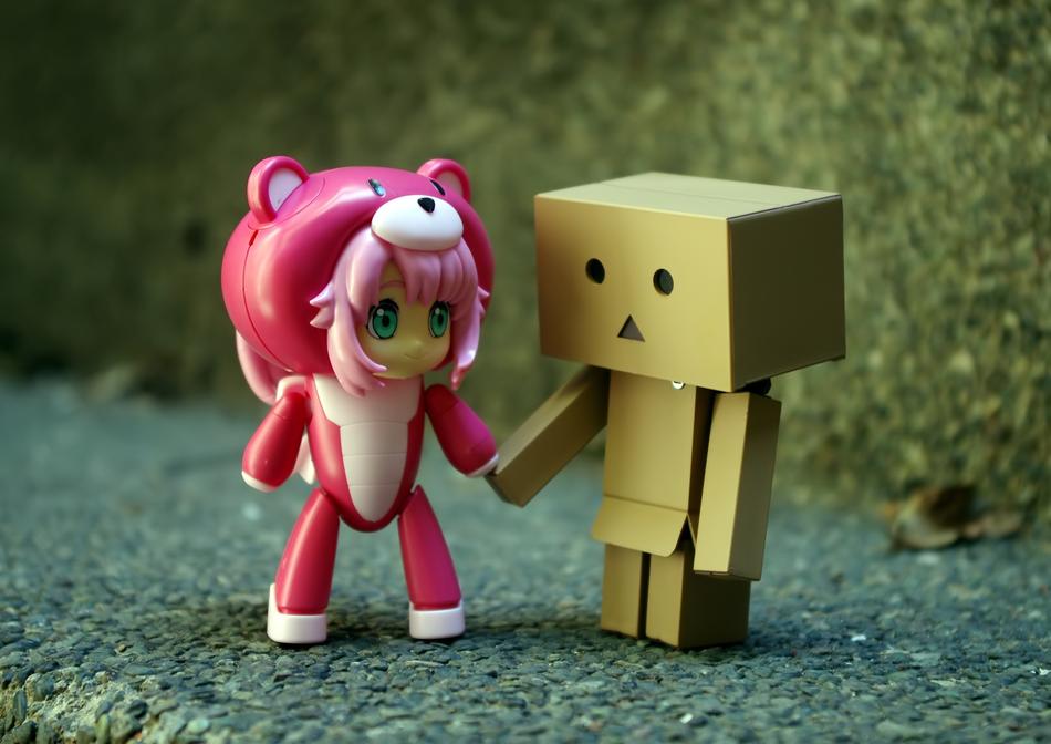 Friends Toy Danbo