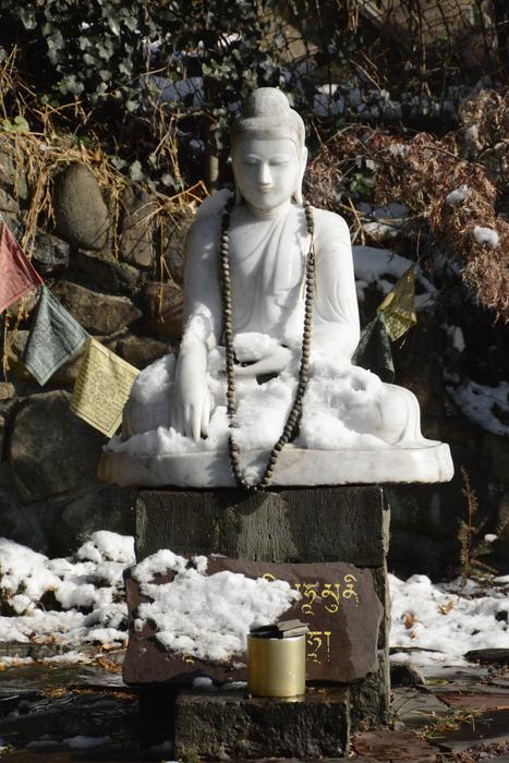 Buddha Figure Meditation