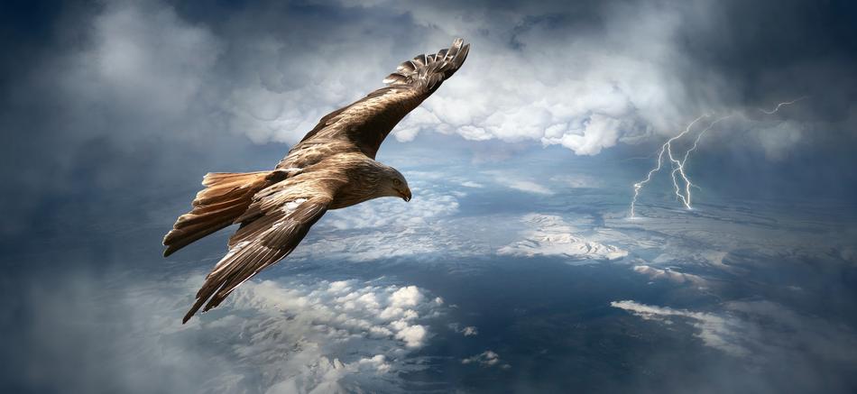 Adler Flying Sky