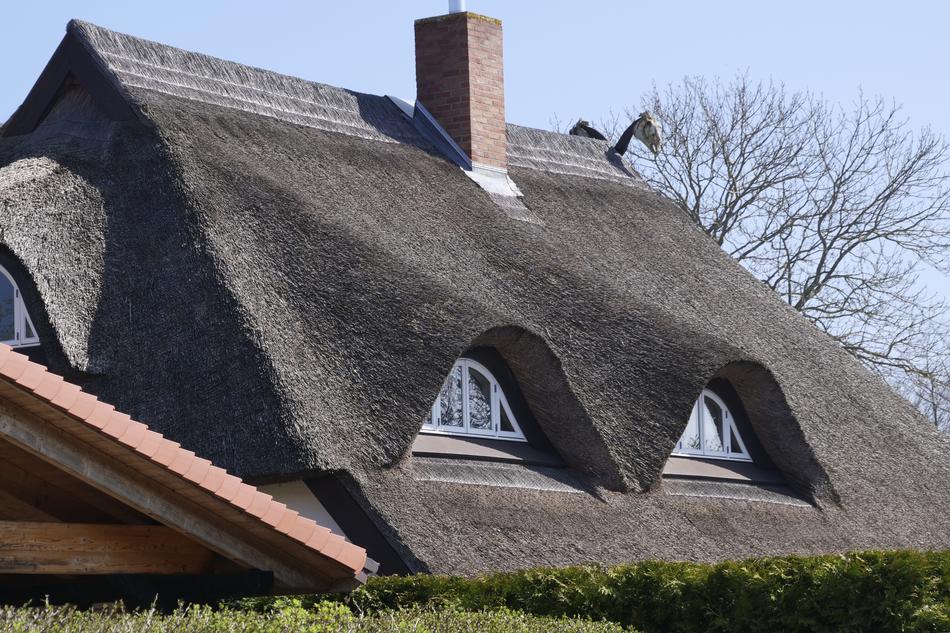 high gray roof with windows