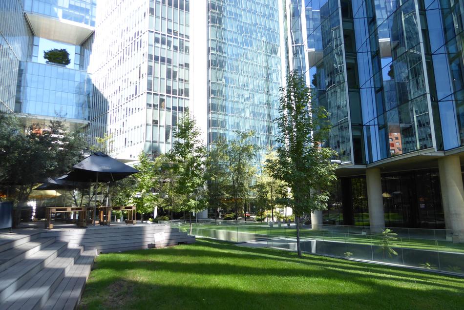modern skyscrapers in the park