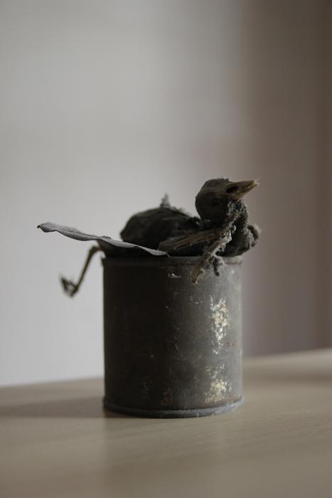 a dead bird in a black can