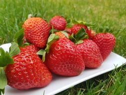 handful of sweet tasty strawberries
