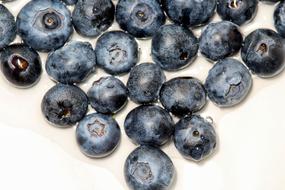 Sweet delicious blueberries on the table