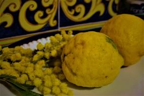delicious juicy lemons