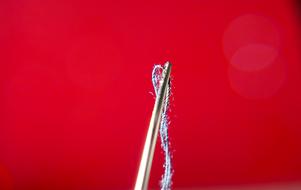 thread with a needle on a red background