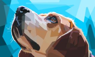animal colorful decoration dog