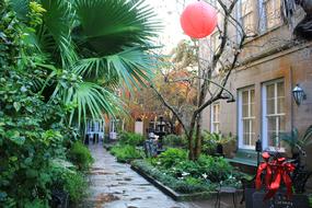 balloon trees green grass